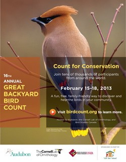 Great Backyard Bird Count, Feb 15-18, 2013