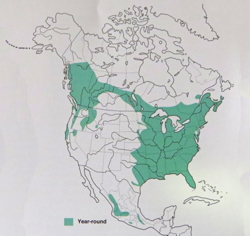 Barred Owl distribution in 2000