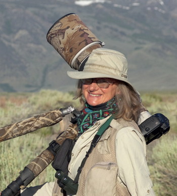 Marie Read, wildlife photographer