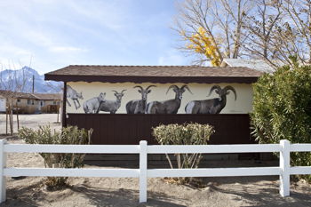 Bighorn Mural Migrates to Independence