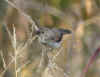 DSCN3958.jpg (63517 bytes)