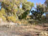 DSCN3963.jpg (207460 bytes)