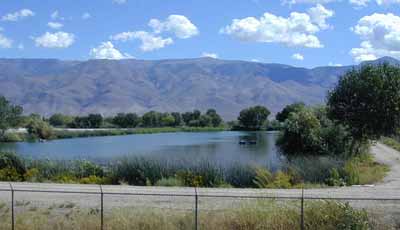 Bishop Sewer Ponds