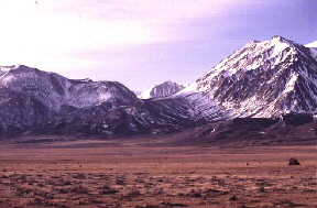 Cottonwood Marshes